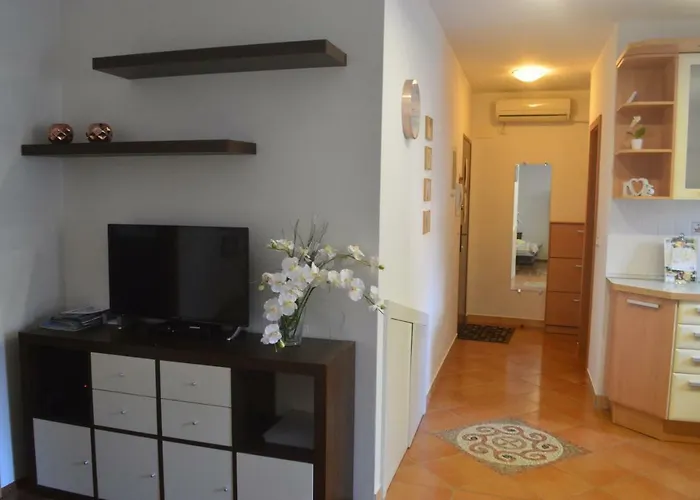 公寓 Terra, Center