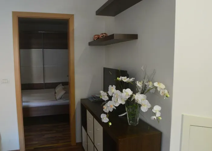 Terra, Center * 科佩尔